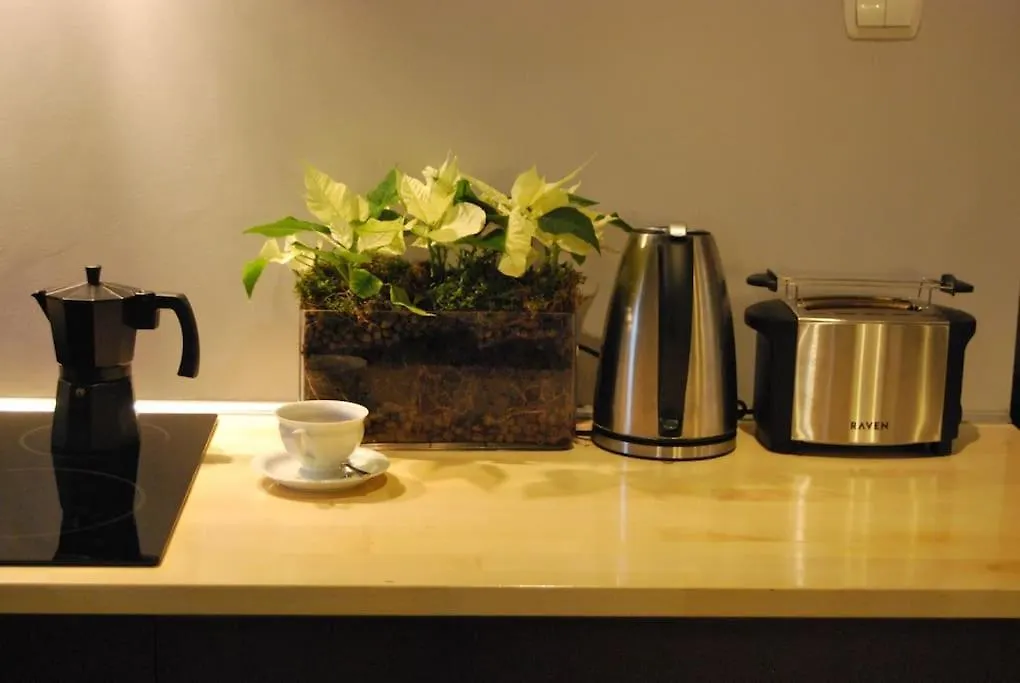 Spacious Apartment In Green District. Vratislav